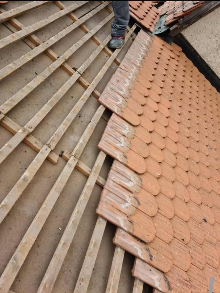 renovation